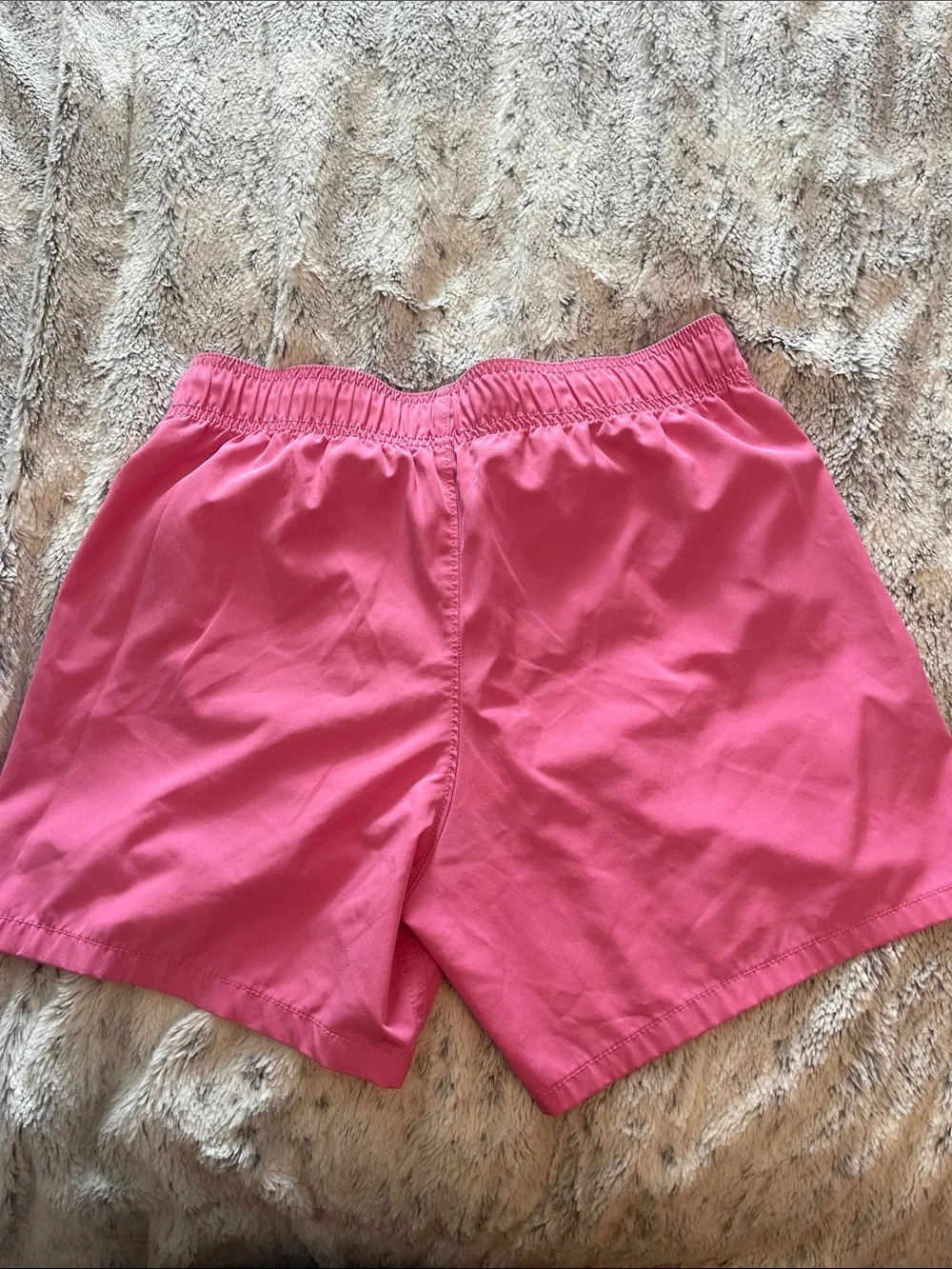 Hollister swim